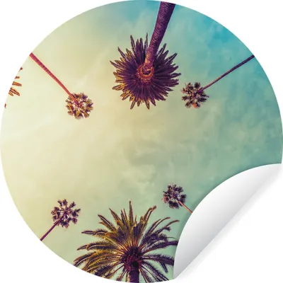 Produktbild von MuchoWow® Runde Wandtattoo - Wandsticker Tapete Aufkleber Palme - Himmel - Bäume - Sommer - Tropisch Ø 50 cm Selbstklebend und Repositionierbar - Wandaufkleber - Kreis - Wand Kreis - Wand Bild - Foto Tapete - Selbstklebende - Wohnzimmerdekoration - Wand Dekoration - Kinderzimmer