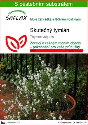 Obrázek produktu pro SAFLAX - Skutečný tymián - Thymus vulgaris - 200 Semena - S pěstebním substrátem bez klíčků