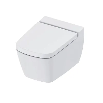 Produktbild von TECEone Set, Kaltwasser und Sitz/Deckel CLASSIC