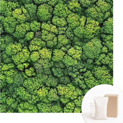 Obrázek produktu pro Samolepicí fototapeta – nástěnné obrazy do obývacího pokoje – 250 x 250 cm – dekorativní fólie na stěny – moderní design pro výzdobu stěn – tapety do interiérů – lesní panorama