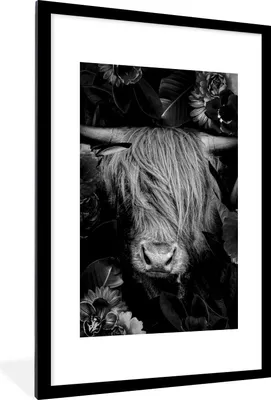 Produktbild von MuchoWow® Gerahmtes Poster Botanische schottischen Highlander gegen schwarzen Hintergrund - schwarz und weiß 60x90 cm - Poster mit Schwarzem Bilderrahmen Wandposter Rahmen Foto Bilder - Dekoration - Wandposter Wohnzimmer - Hochwertig