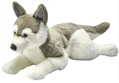 Produktbild von Plüsch Husky liegend Kuscheltier Schlittenhund Stofftier Hund groß 60cm
