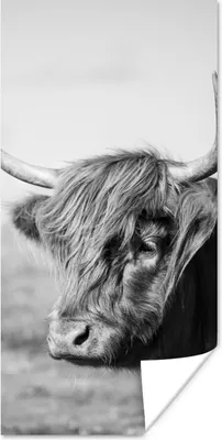Produktbild von MuchoWow® Poster Schottischer Highlander - Tiere - Schwarz - Weiß 60x120 cm - Wandschmuck