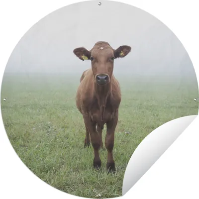 Produktbild von MuchoWow® Gartenposter Outdoor-Poster Rund Kuh - Nebel - Gras Ø 150 cm Gartendeko Rundes Poster draußen