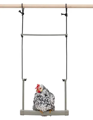 Immagine prodotto di Altalena per galline Beeztees 40x5x30 cm Grigio