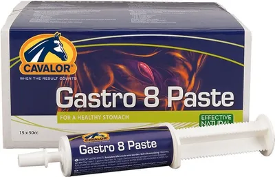 Produktbild von Cavalor Gastro aid Paste 60g, Inhalt:60g