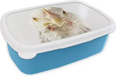 Produktbild von KitchenYeah® Lunchbox Brotzeit Brotdose 17x11 cm Huhn - Vogel - Schnabel Kinder Brotzeitdose - Lunch - Kunststoff  - Brotbüchse - Sandwichbox - Lunchbox für Kinder