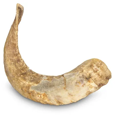 Produktbild von Kauspielzeug für Hunde aus Widderhorn, Größe M (<200 g)