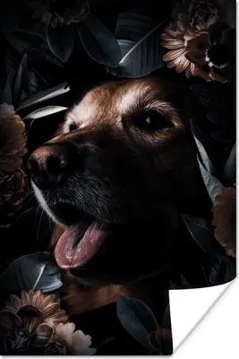 Produktbild von MuchoWow® Poster Hund - Tiere - Pflanzen 120x180 cm - Kunstposter