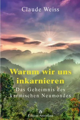 Produktbild von Warum wir uns inkarnieren