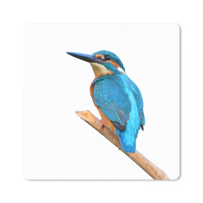 Produktbild von MuchoWow® Mauspad Mousepad Eisvogel - Äste - Weiß 30x30 cm - Mousepads - Maus Mat - Pad - Mausunterlage - Gaming