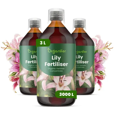 Produktbild von Lily Flüssigdünger 3x1L – 3-4-3 NPK – Flüssig-Pflanzendünger für Lilien – Fördert farbintensive Blüten & gesunde Zwiebelentwicklung – Organifer