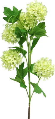 Produktbild von Künstlicher Schneeball Zweig Grün Deko Kunstpflanze Ø6,5cm L78cm Viburnum