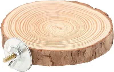 Productafbeelding van Ronde Houten Trapbord, 8 cm, voor Kleine Parkieten, Cockatiels en Hamsters, Natuurlijk Hout, Veilig en