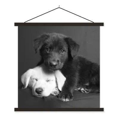 Produktbild von MuchoWow® Textilposter Hunde - Welpe - Schwarz - Weiß - Tiere 60x60 cm mit schwarzem Rahmen - Posteraufhänger