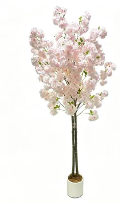 Obrázok produktu pre Umelý čerešňový kvet – dekoratívny stromček Sakura, výška 180 cm – umelá rastlina do interiéru – vhodná ako dekorácia do obývačky, spálne, na svadbu alebo oslavu – biela