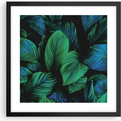 Produktbild von Gerahmtes Poster - Schwarzer Rahmen - Blätter Pflanzen Exotik - 40x40 cm - Wand Bild - Wanddeko - Wandbilder - Kunstposter - Wandposter - Bilderrahmen - Bilder - Kunstdruck - P2BAC40x40-5066
