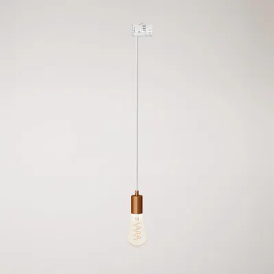 Image de Creative Cables - Suspension avec finitions en métal satiné pour rails - ampoule non fournie