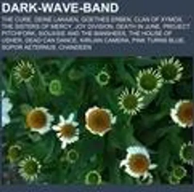 Produktbild von Dark-Wave-Band
