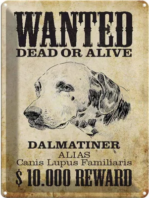 Produktbild von vianmo Blechschild 40x30 cm Hund wanted dead Dalmatiner