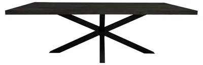 Produktbild von Villa Möbel Esstisch Devereux aus Mangoholz 200 x 100 cm mit Matrixgestell