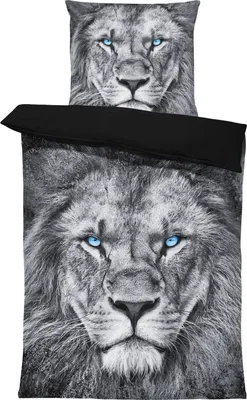 Produktbild von Löwen Bettwäsche 135x200 cm Löwe grau schwarz Tiere Garnitur Wende Microfaser