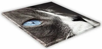 Zdjęcie produktu dla SZKLANA DESKA KUCHENNA 25x25 470e Ojos azules