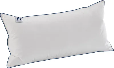 Produktbild von Federkissen Svea fest  Größe 40 x 80 cm
