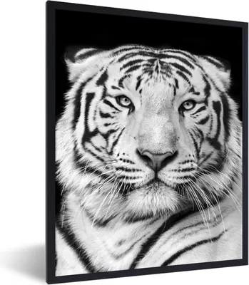 Produktbild von MuchoWow® Gerahmtes Poster Tiger - Schwarz - Weiß - Porträt - Tiere 60x80 cm - Poster mit Schwarzem Bilderrahmen Wandposter Rahmen Foto Bilder - Premium - Wanddeko Wohnzimmer