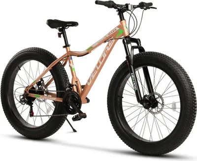Produktbild von Mountainbike 26 Zoll Fat Tire 4.0 MTB für Herren Damen und Jungen 21 Gang Shimano, Kettenschaltung, mechanische Scheibenbremse, Fat Bike Mountainbike