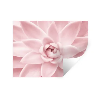 Produktbild von MuchoWow® Wandtattoo Wandsticker Wandaufkleber Blume - Rosa - Natur - Pflanze 160x120 cm Selbstklebend und Repositionierbar - Selbstklebend - Fototapeten