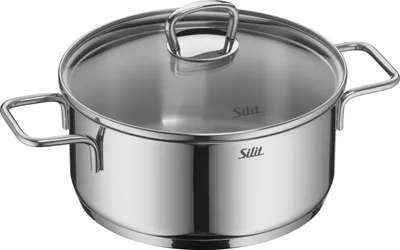 A stainless steel pot with a glass lid.