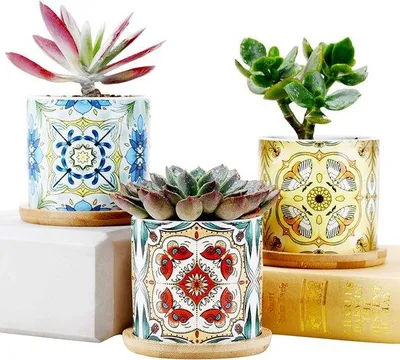 Produktbild von Famanu Pflanzenkübel Cactuspot - Keramische Blumentöpfe für Innen, 3er Set