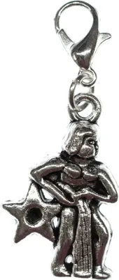 Produktbild von Wassermann Charm Miniblings Anhänger Bettelanhänger Stern Sternzeichen Horoskop