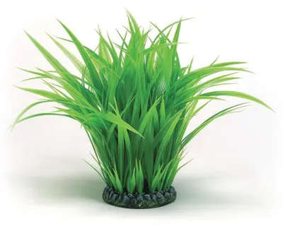 Immagine prodotto di biOrb Anello per erba grande verde (46105)