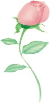 Produktbild von Schablone zum Airbrushen von Rosen