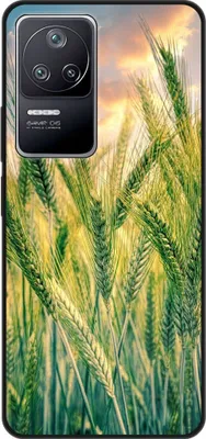 Produktbild von König Design Hülle kompatibel mit Xiaomi Poco F4 Kunststoff Soft Handyhülle - Handy Case Kornfeld