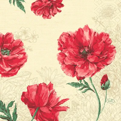Obrázek produktu pro Duni Tissue Servietten 3 lagig 33 x 33cm Monique 250 Stück