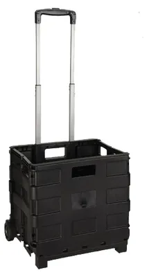 Immagine prodotto di Carrello Cesta Multiuso Pieghevole Portata 18 Kg