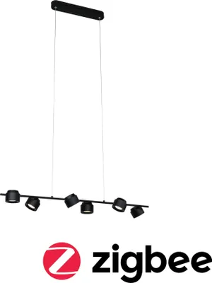 Produktbild von Paulmann LED Pendelleuchte Puric Pane