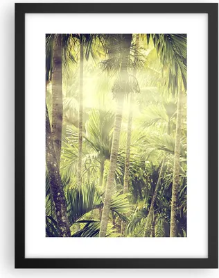 Produktbild von Gerahmtes Poster - Schwarzer Rahmen - Morgendämmerung Dschungel Palmen - 30x40 cm - Wand Bild - Wanddeko - Wandbilder - Kunstposter - Wandposter - Bilderrahmen - Bilder - Kunstdruck - P2BPA30x40-4450