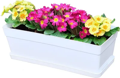 Productafbeelding van 3 stuks 38 cm kunststof bloembak voor vensterbank, tuin en balkon, wit
