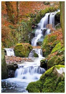 Produktbild von Wallario Premium Glasbild, freischwebende Optik, kräftige Farben, Größe 100 x 70 cm Motiv Bach im Wald