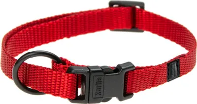 Obrázek produktu pro Obojek pro psy ASP červený 20-35cm
