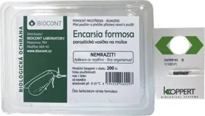 Obrázok produktu pre BIOCONT LABORATORY, spol. s r.o. Parazitické vosky proti moliam (200 ks) - Encarsia formosa