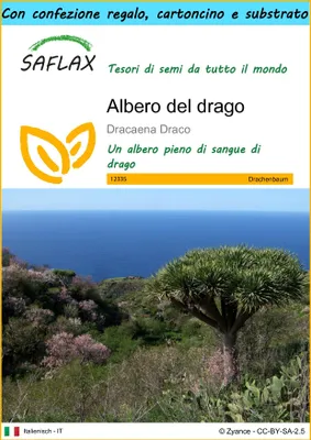 Immagine prodotto di SAFLAX Set regalo - Albero del drago - 5 semi - Dracaena