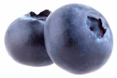 Produktbild von Heidelbeere 'Heerma' ca. 60 cm - Vaccinium corymbosum 'Heerma'