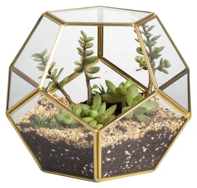 Image de Pot de fleurs fait main en laiton doré, forme géométrique pentagonale sphérique, 17,5 x 15 x 17,5 cm, terrarium ouvert pour plantes succulentes, support pour plantes aériennes, pot de présentation en verre (plantes non incluses)