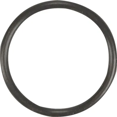 Produktbild von Original Fiat Dichtung für Turbolader 55221659