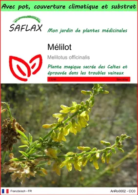 Image de SAFLAX Garden to go - Mélilot - 250 graines - Melilotus